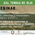 Webinar presentazione Bando n 52221