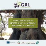 Finanziamenti per 12 imprese di Alto Campidano, Montiferru e Planargia
